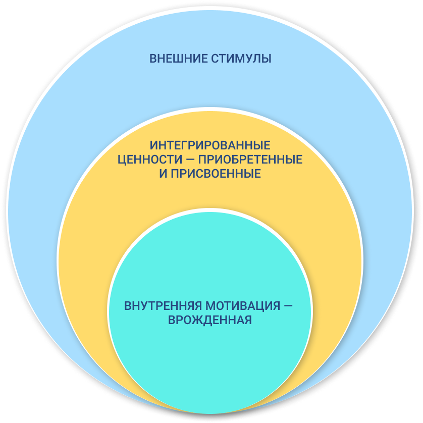Мотиваторы для оценки вовлеченности персонала.png